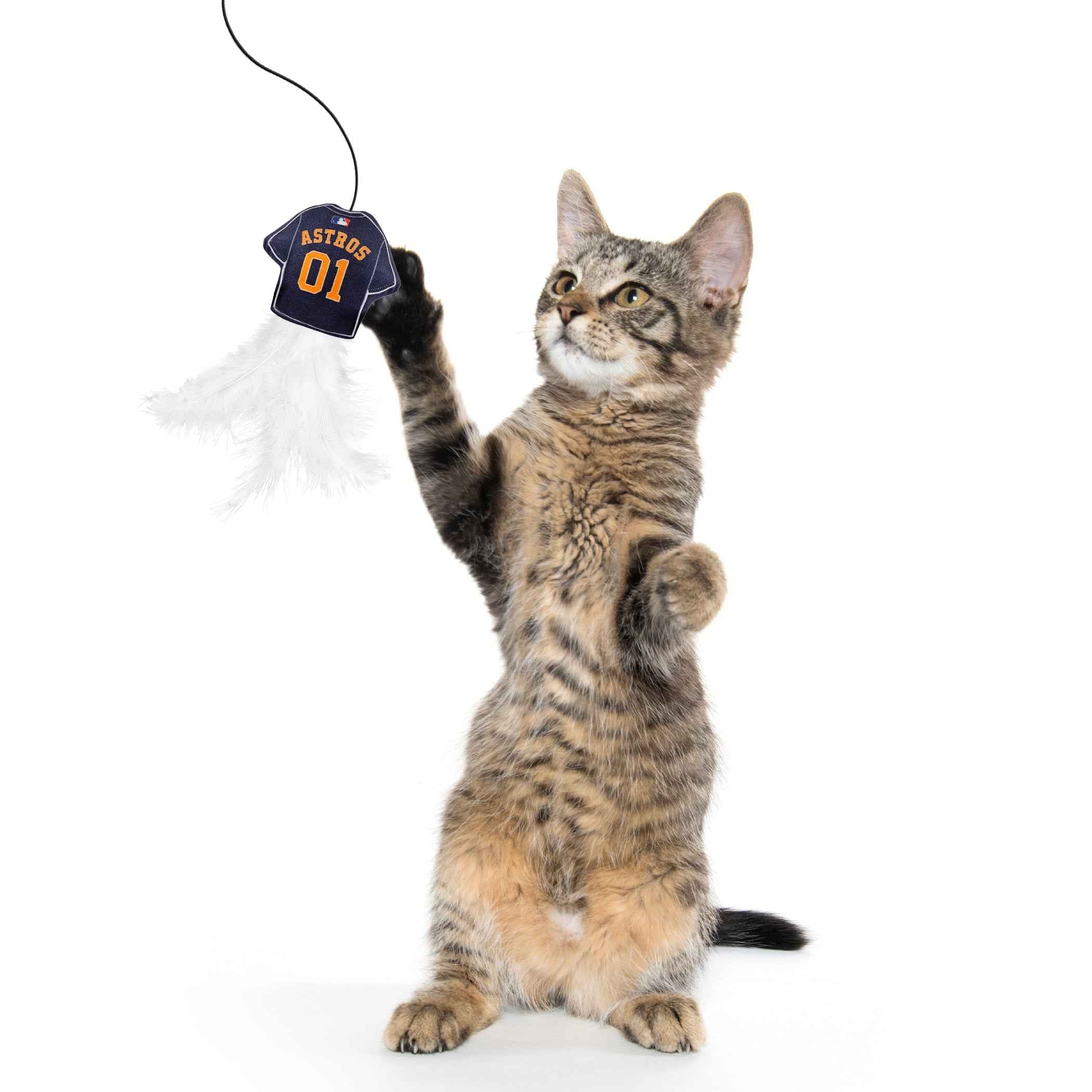 HOUSTON ASTROS TEAM JERSEY WAND WITH CAT NIP