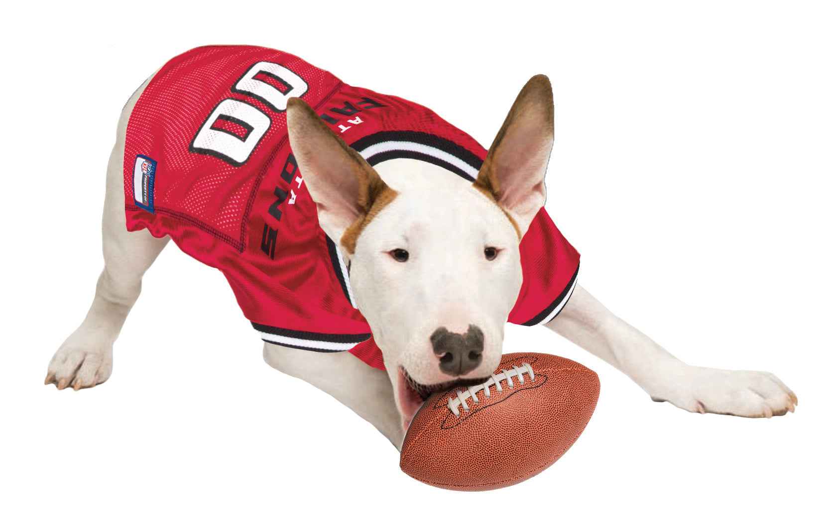 NFL Atlanta Falcons Raglan Mesh Pet Jersey