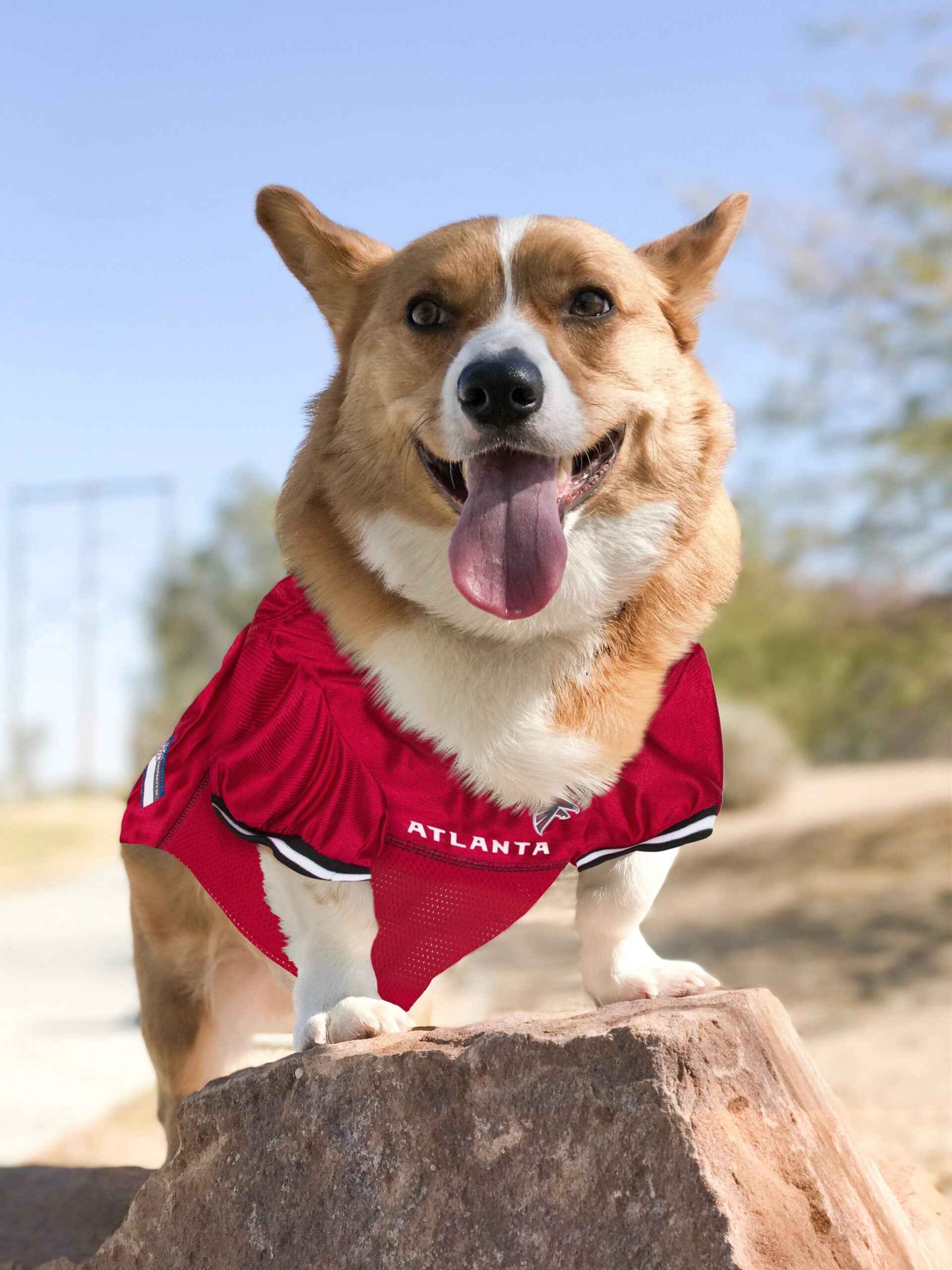 NFL Atlanta Falcons Raglan Mesh Pet Jersey