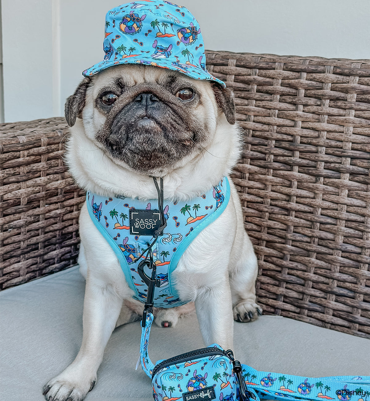 Dog Leash - Disneys Stitch