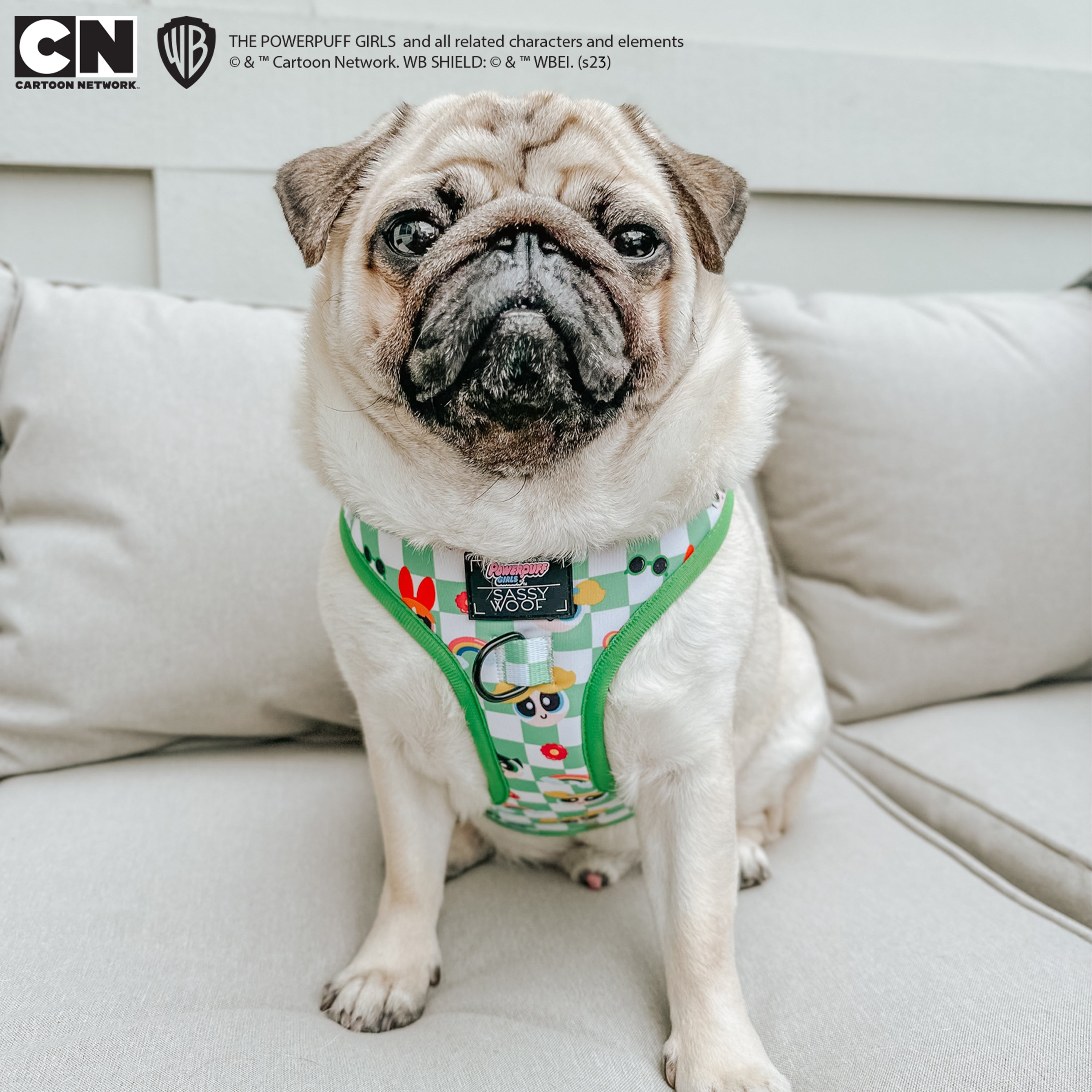 Dog Adjustable Harness - The Powerpuff Girls™ (Green)