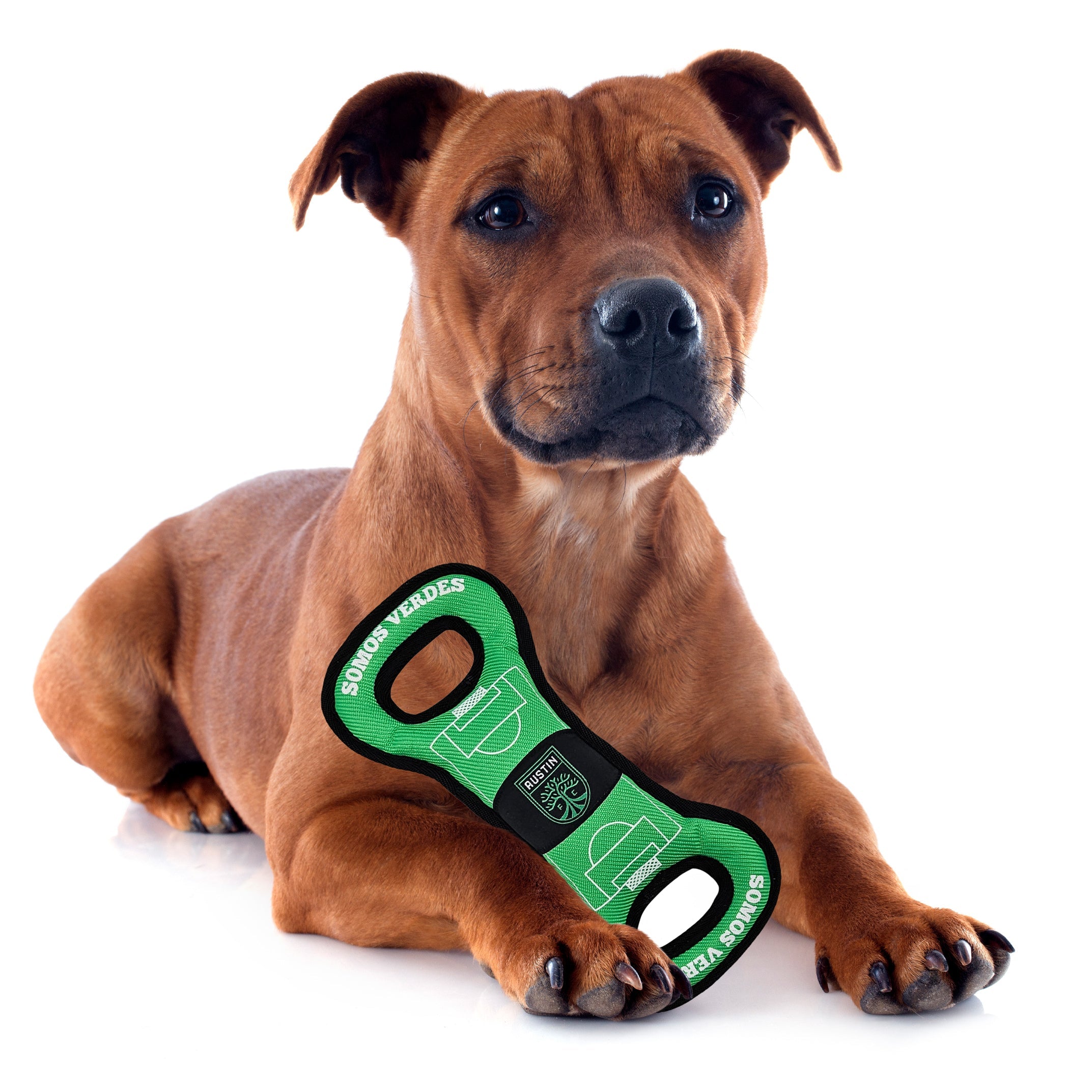 AUSTIN FC SOCCER FIELD TUG TOY