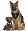 Austin FC Reversible Pet Bandana