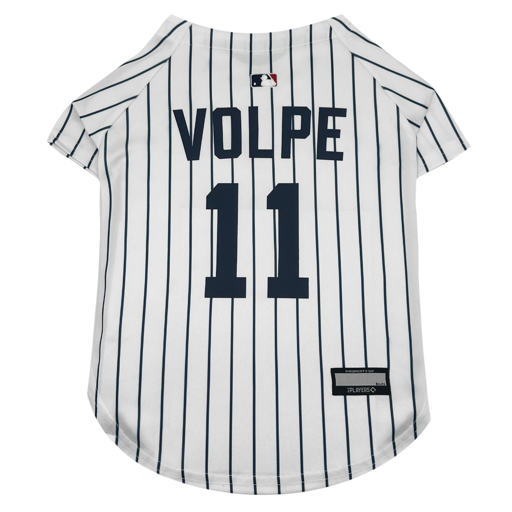 Anthony Volpe Player Jersey (YAN)