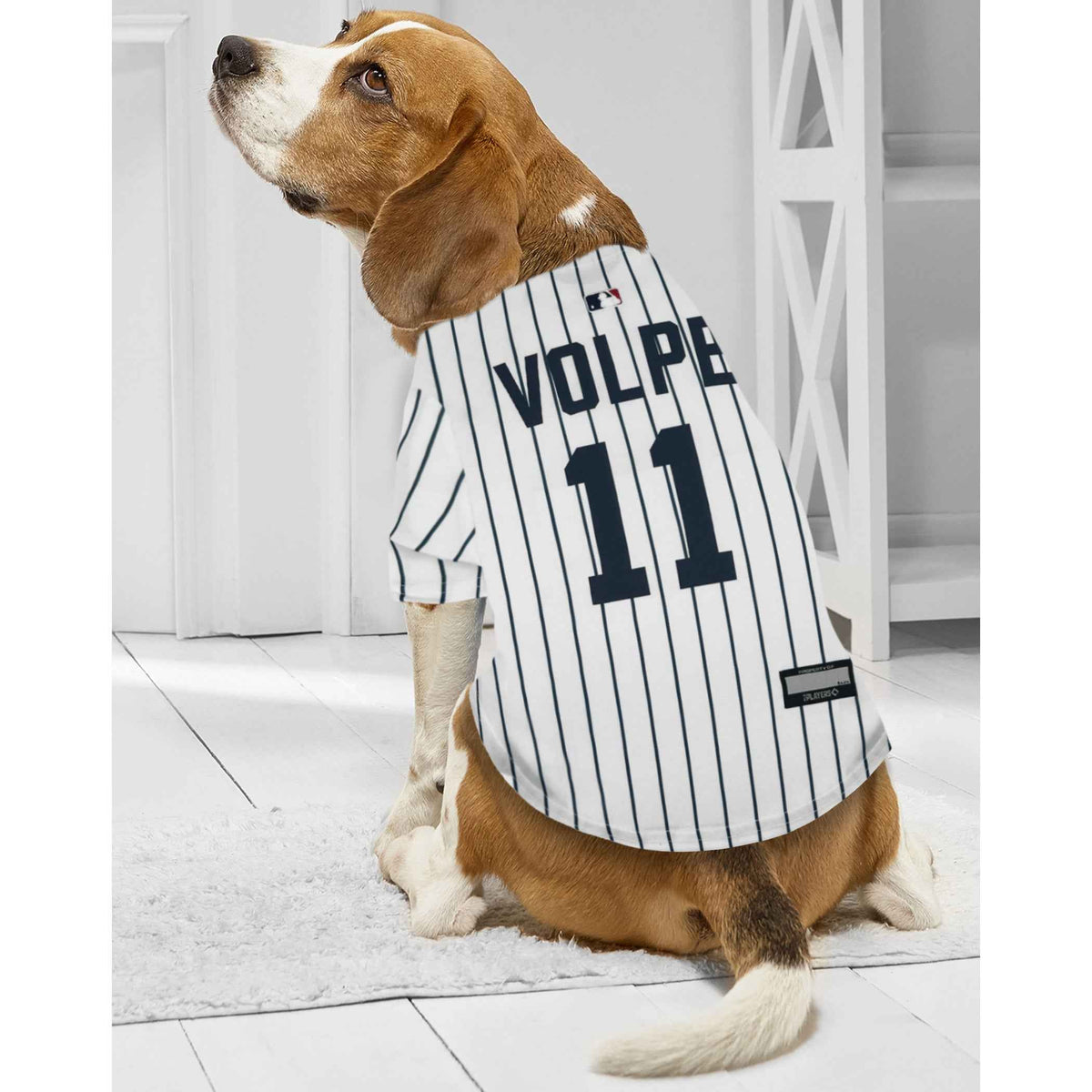 MLB New York Yankees Anthony Volpe Mesh Pet Jersey