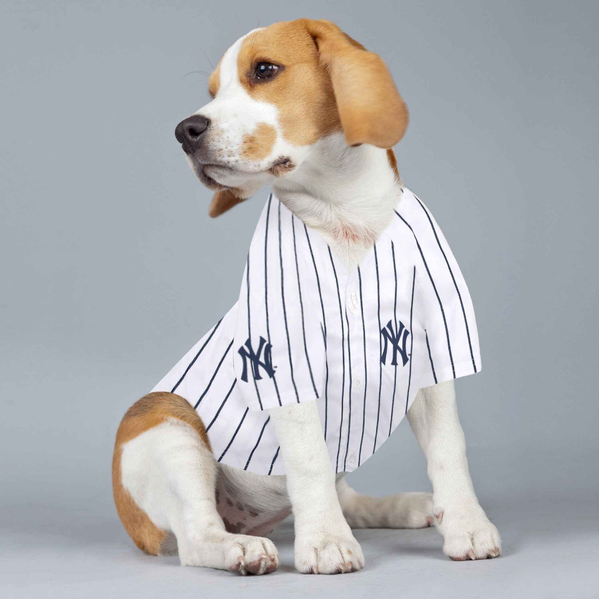 MLB New York Yankees Anthony Volpe Mesh Pet Jersey