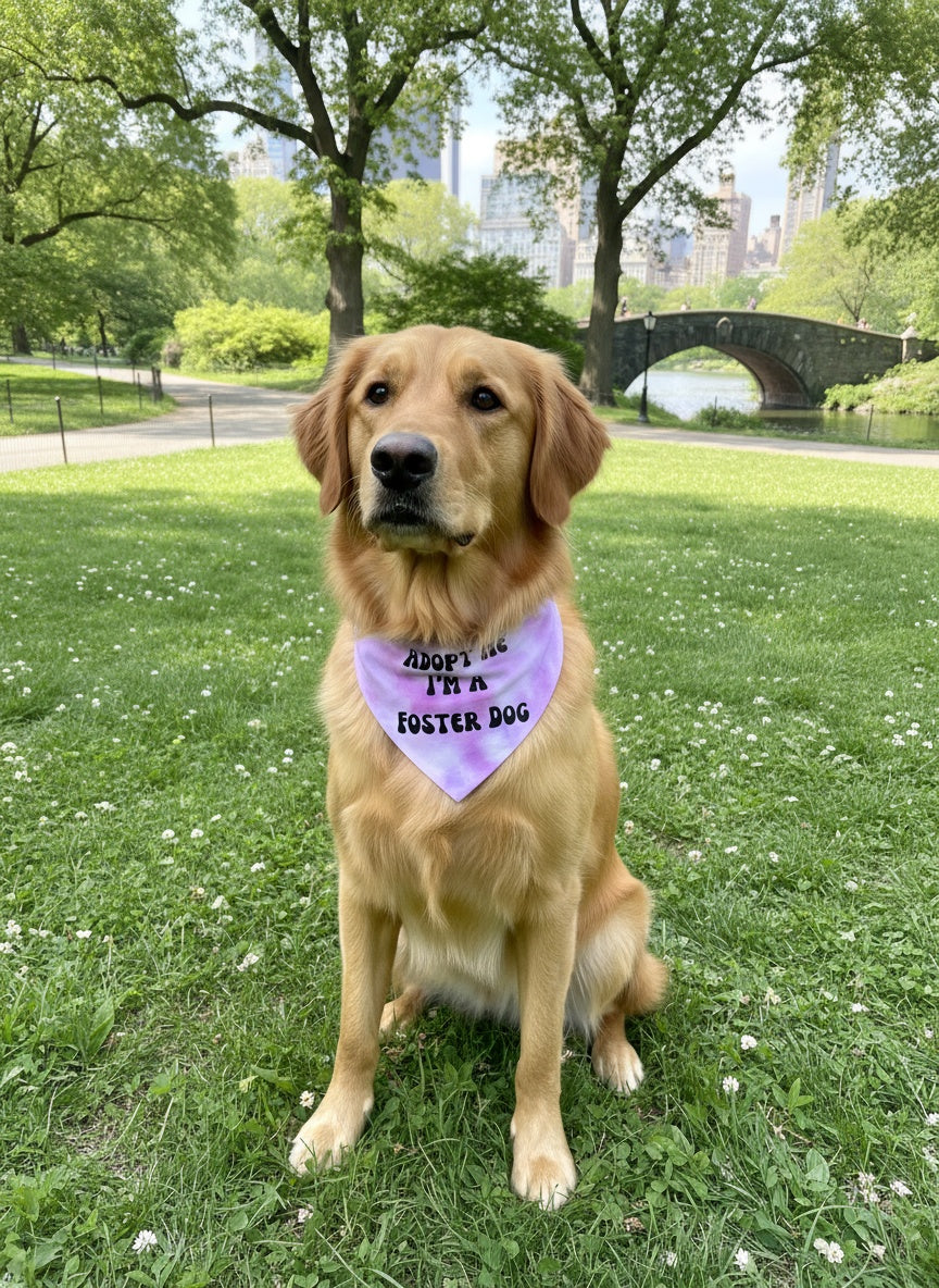 Adopt Me Im A Foster Tie Dye Dog Bandana New Arrival