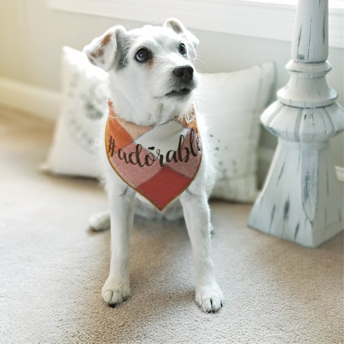 Adorable Luxe Flannel Dog Bandana