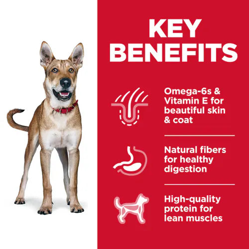 Hills Science Diet Adult Chicken & Barley Recipe Dry Dog Food Bag