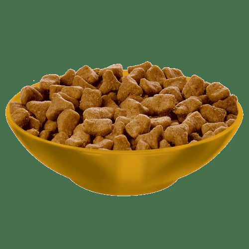 Hills Science Diet Adult Hairball Control Chicken Recipe Dry Cat Food Bag (3.5lb)