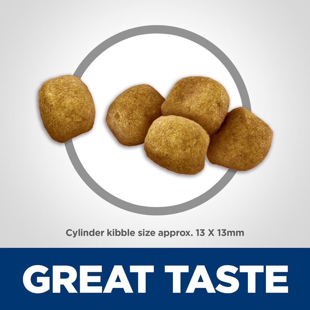 Hills Science Diet Adult Oral Care Chicken Recipe Dry Cat Food Bag