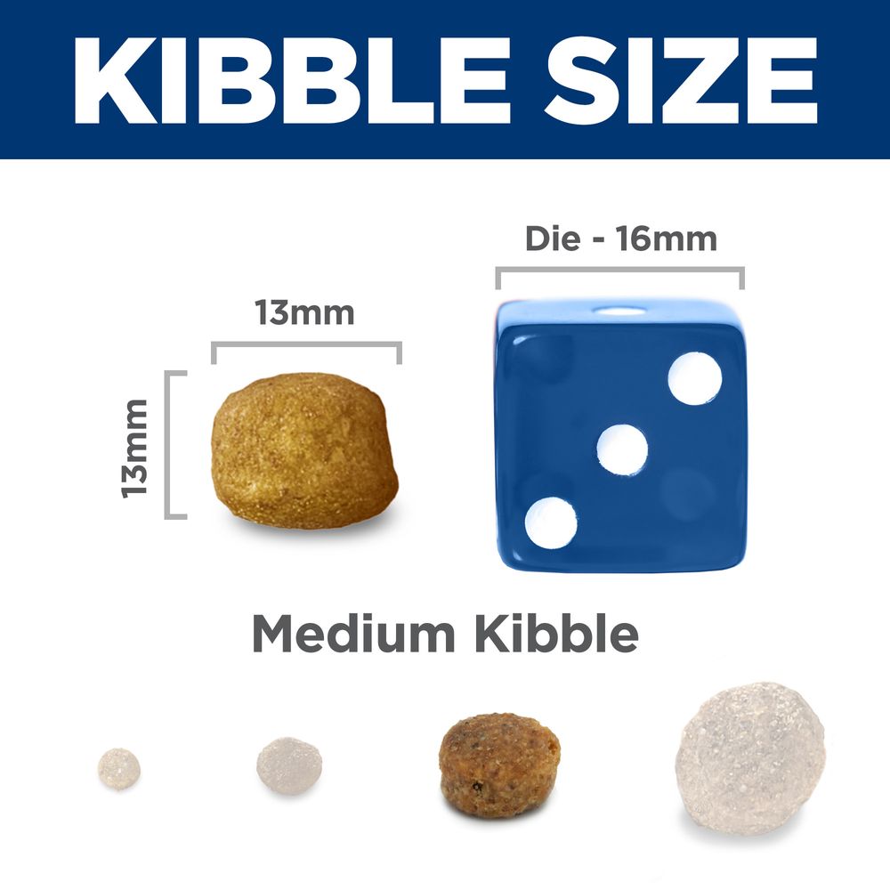 Hills Science Diet Adult Oral Care Chicken Recipe Dry Cat Food Bag