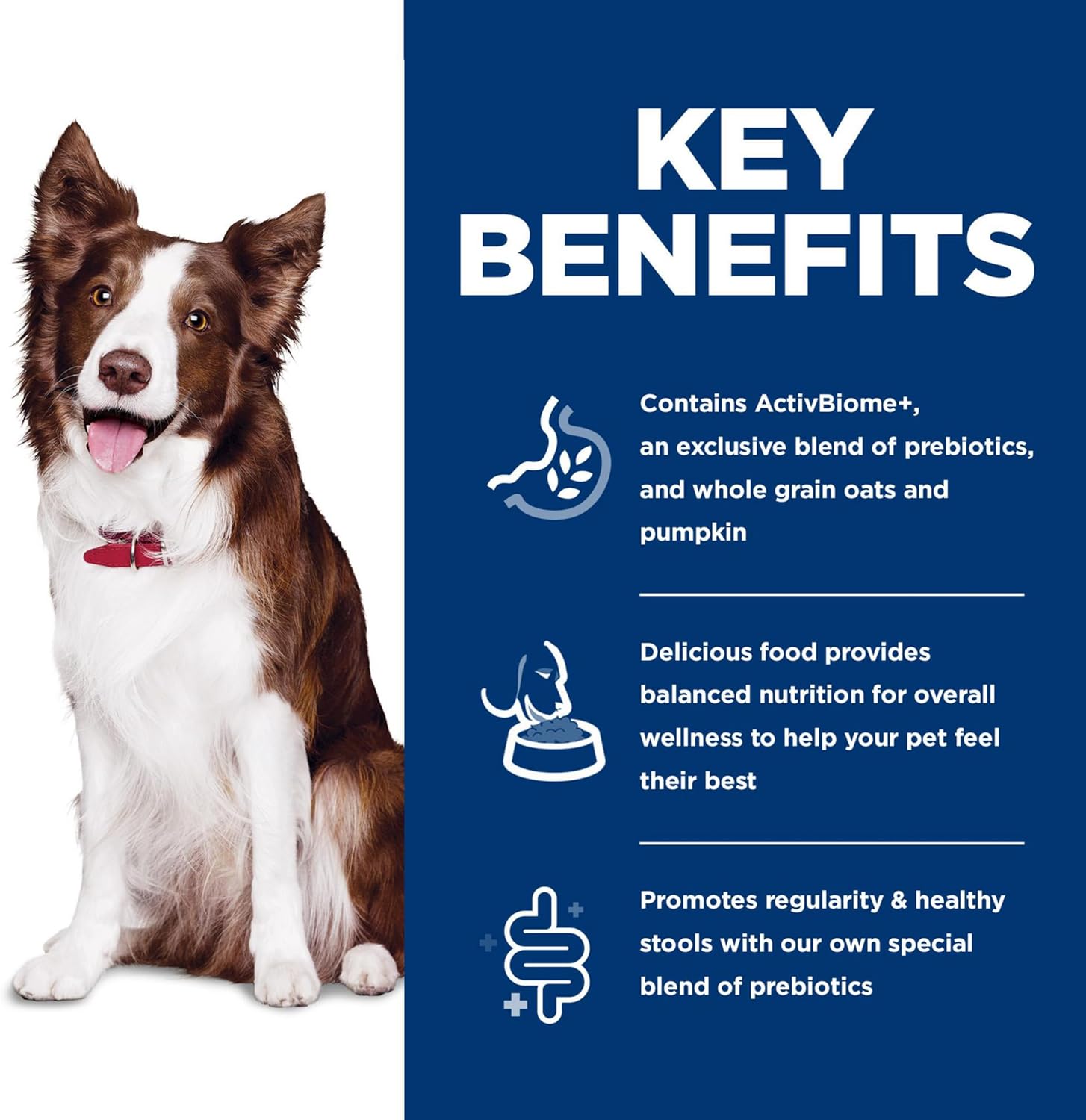 Hills Science Diet Adult Perfect Digestion Chicken, Brown Rice & Whole Oats Recipe Dry Dog Food Bag