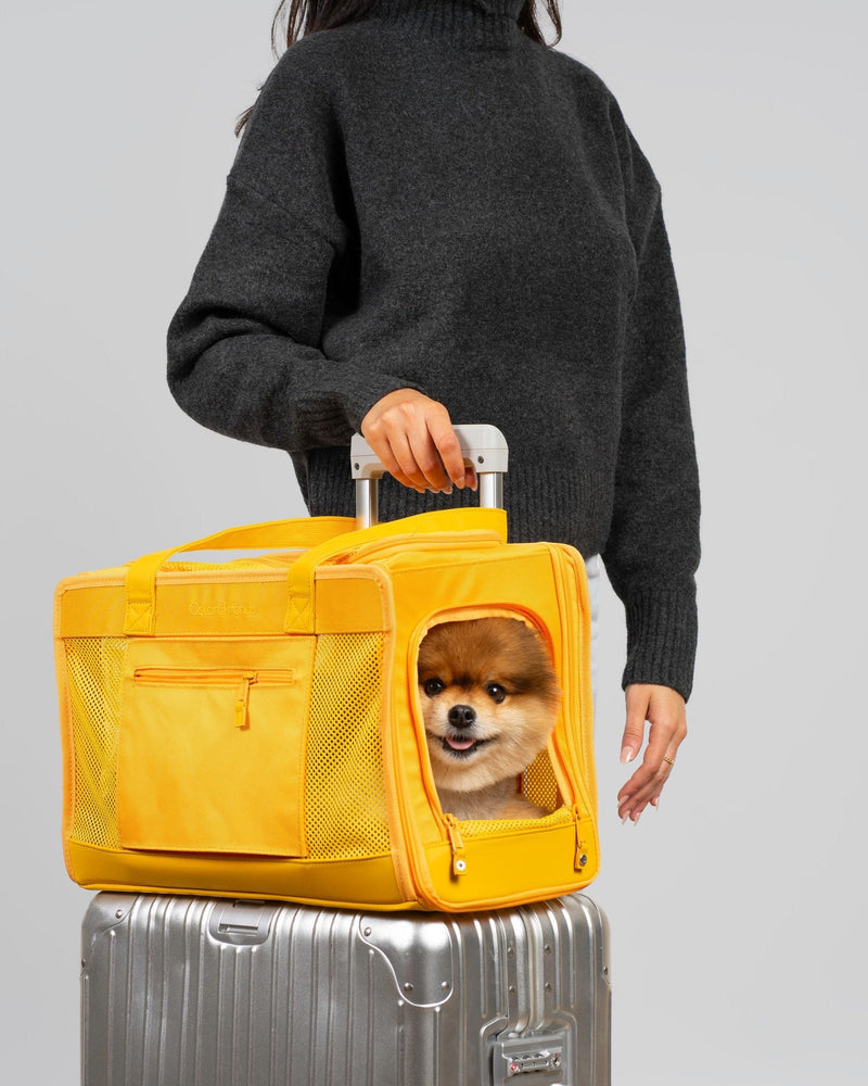Sunburst Yellow Pet Travel carrier - HT Animal Supply