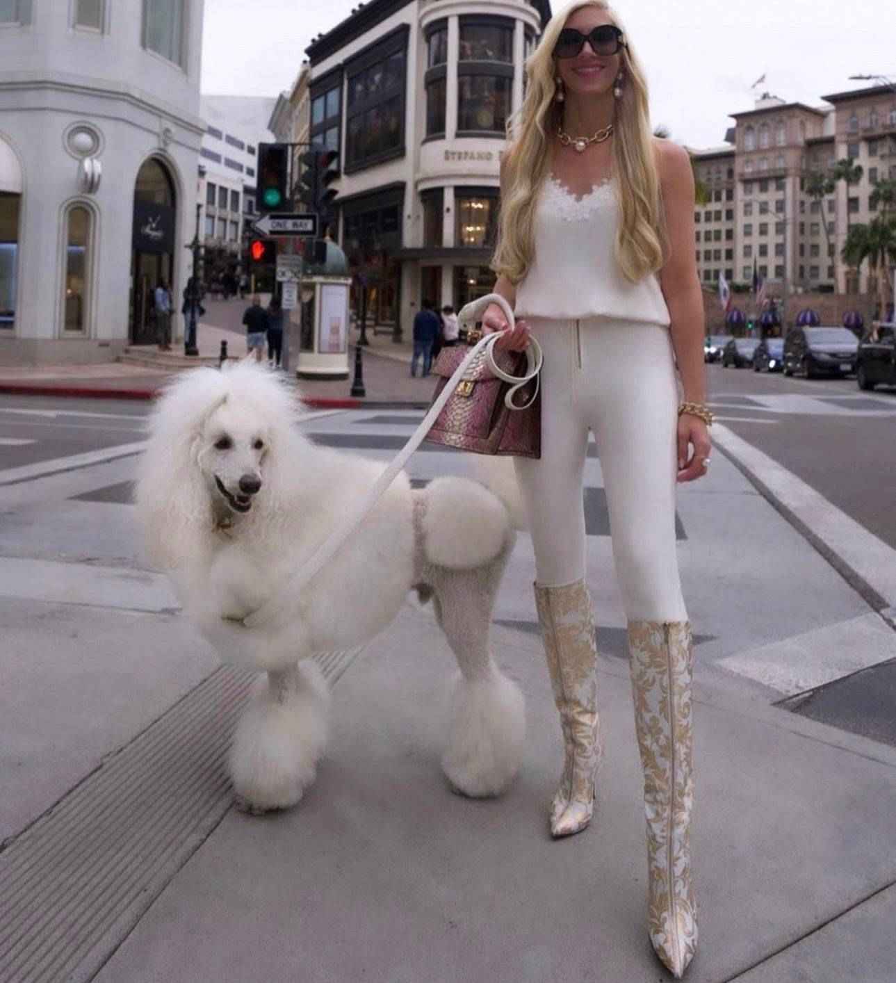 Allysa Payne Beverly Hills Collection | HT Animal Supply