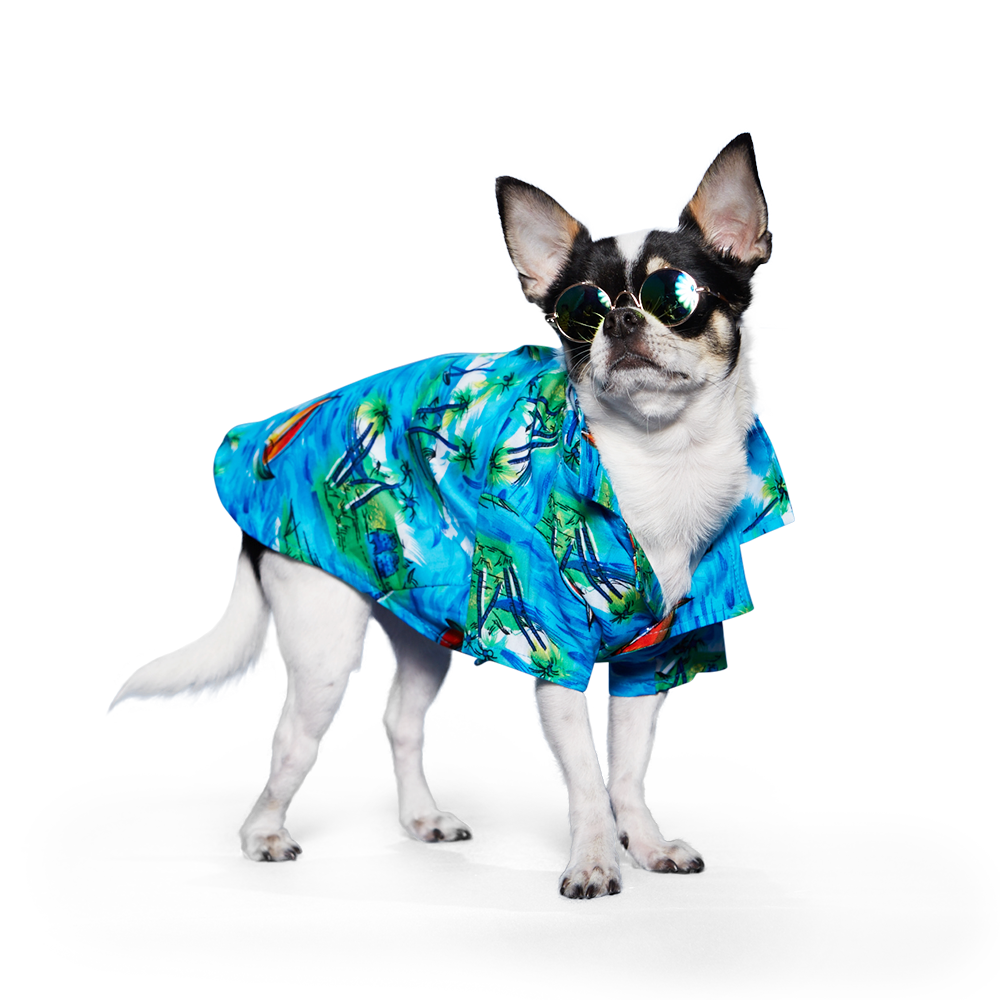 DOGO Aloha Dog Shirt
