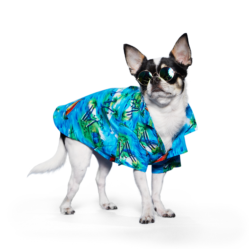 Aloha Shirt