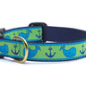 Whale Dog Collar