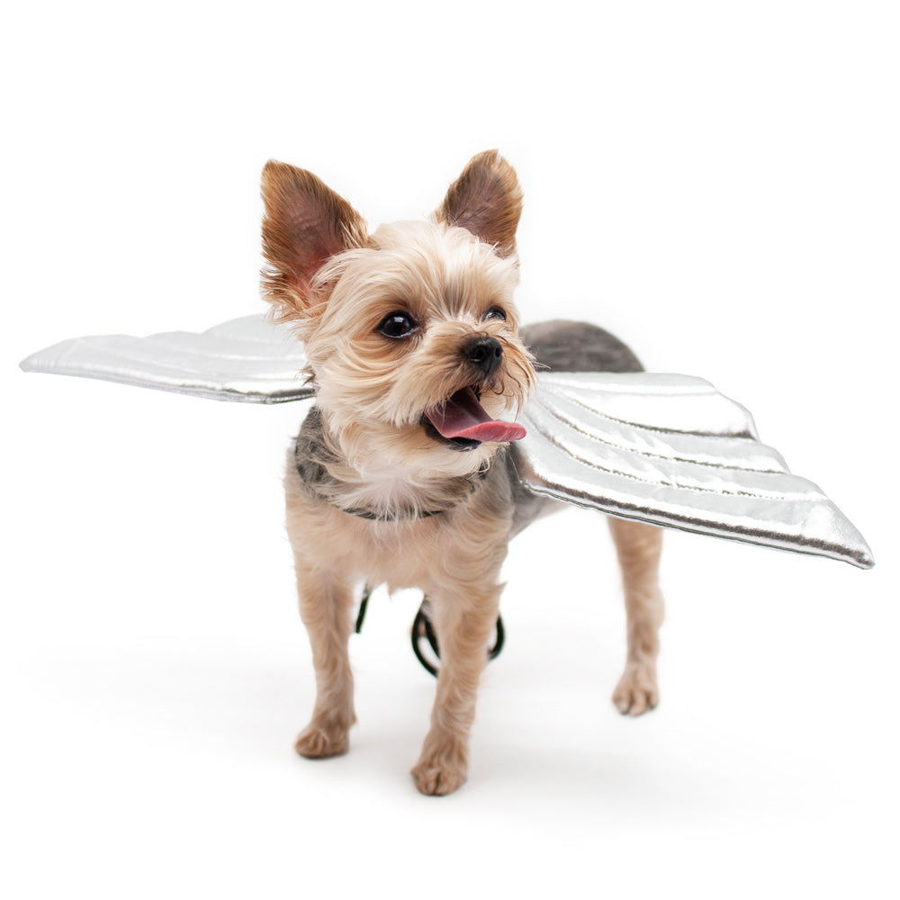 DOGO Angel Dog Costume Wings