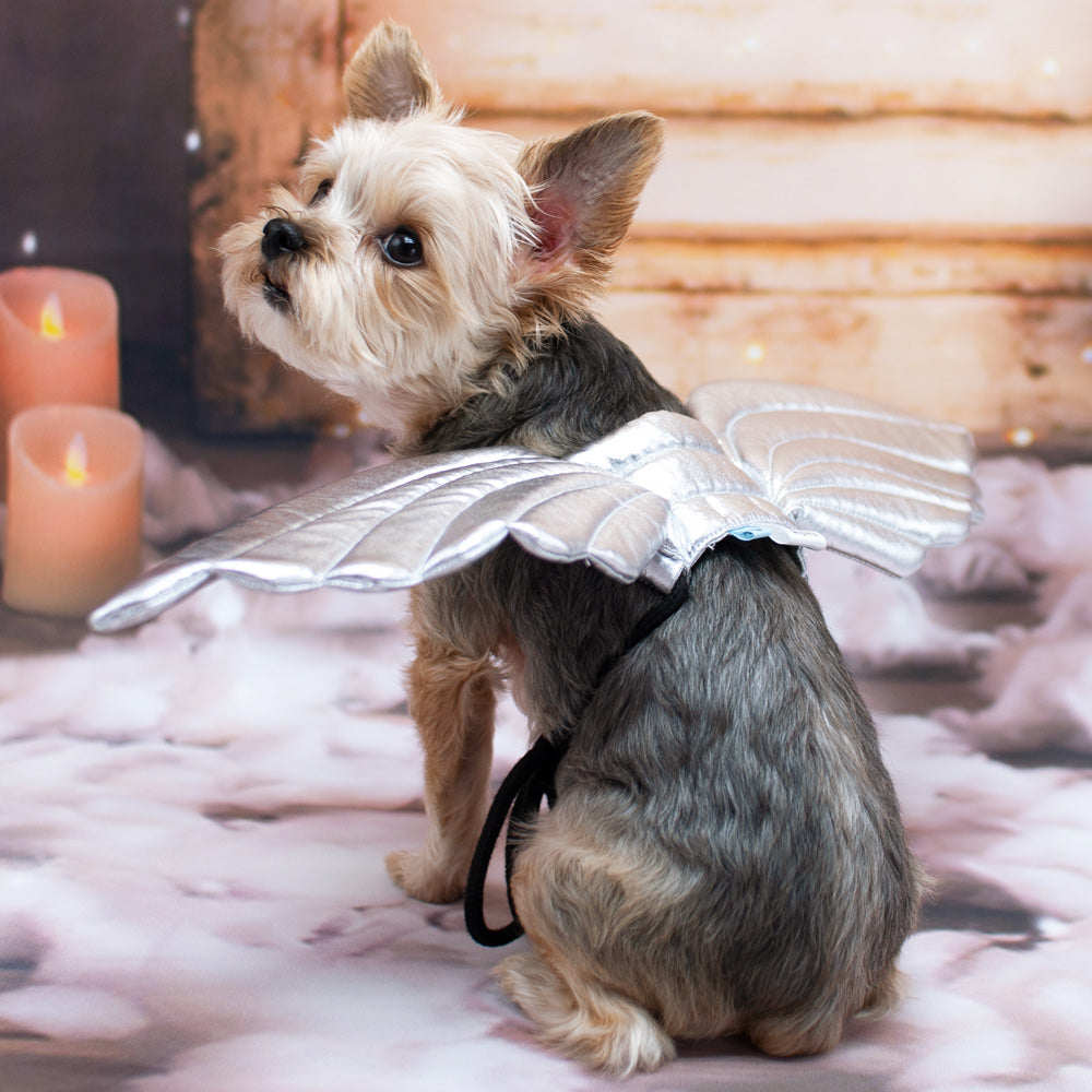 DOGO Angel Dog Costume Wings