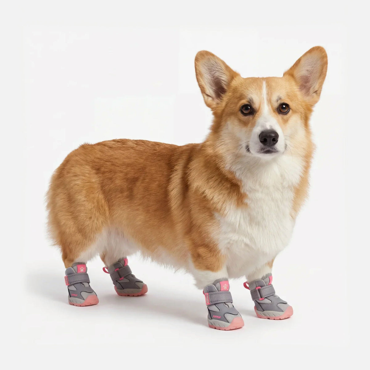 RIFRUF Apollo 1 Waterproof Dog Boots
