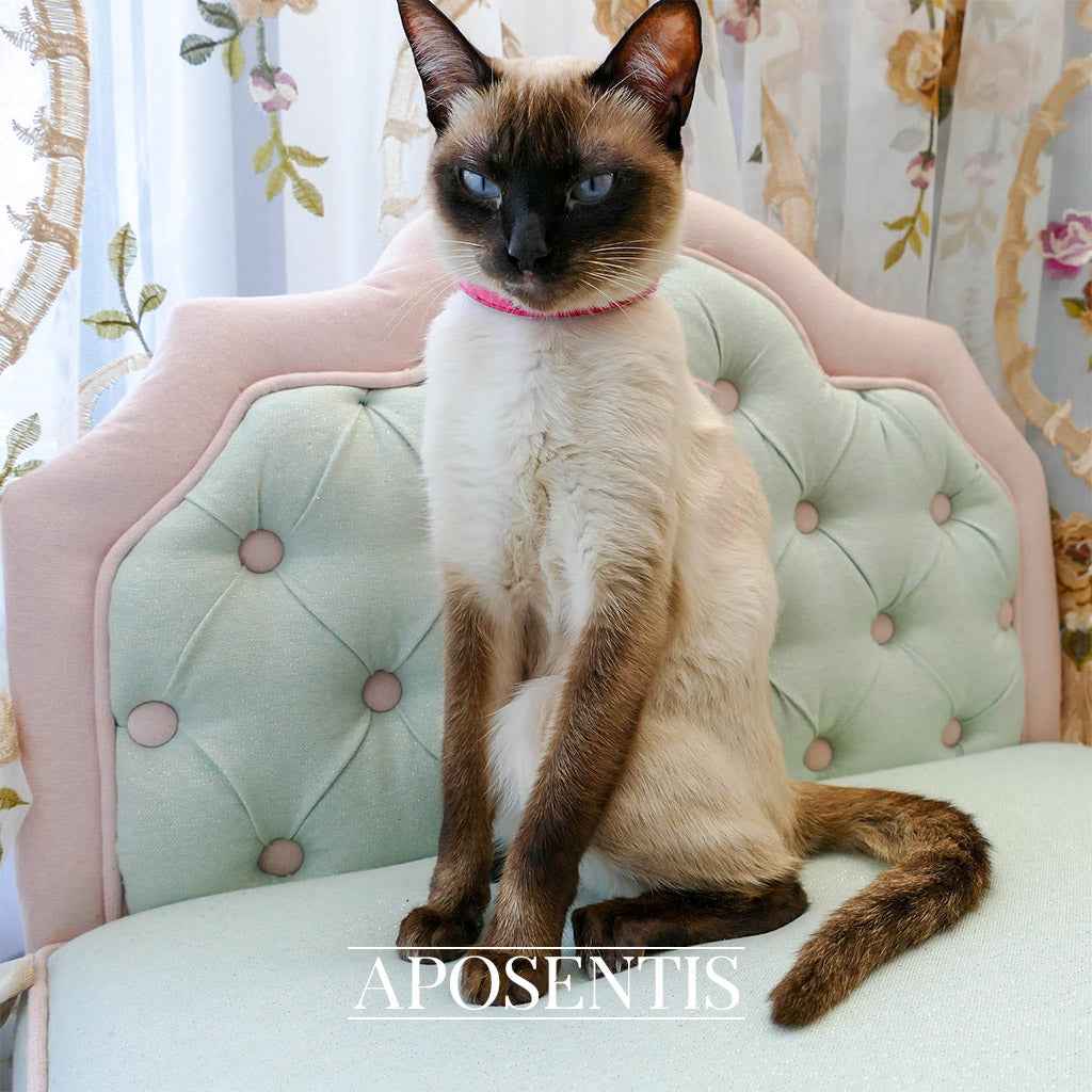 Jackelyn Bespoke Luxury Dog and Cat Bed