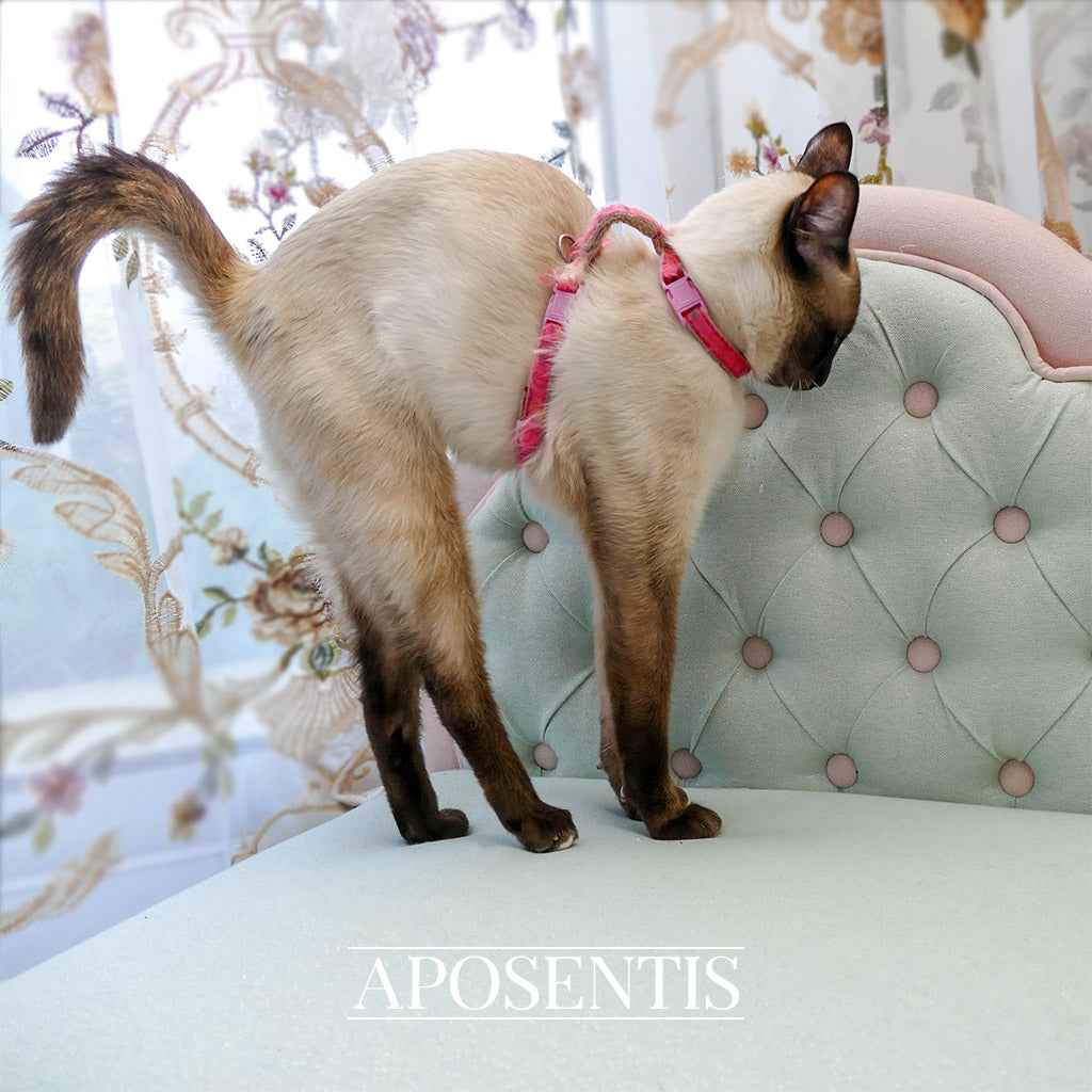 Jackelyn Bespoke Luxury Dog and Cat Bed