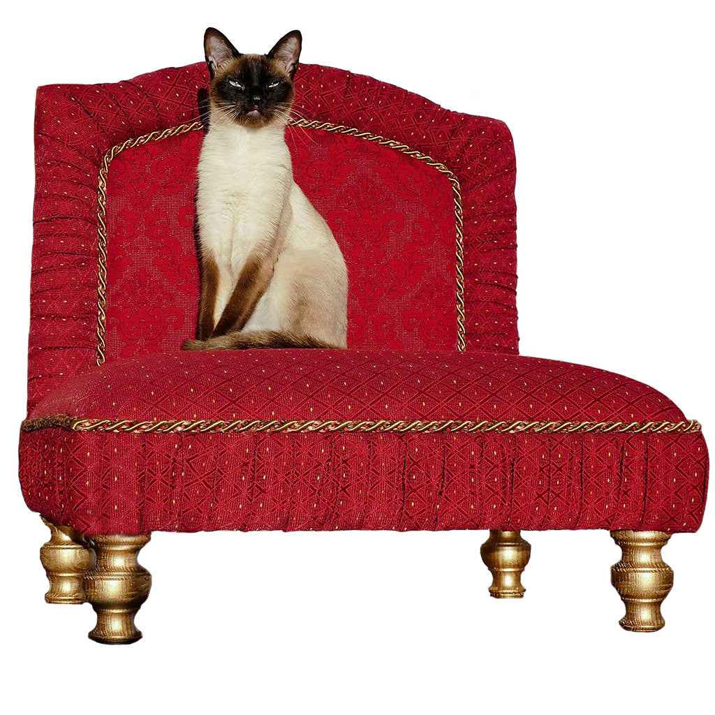Dion Baroque Italian Fabric Luxury Dog and Cat Bed