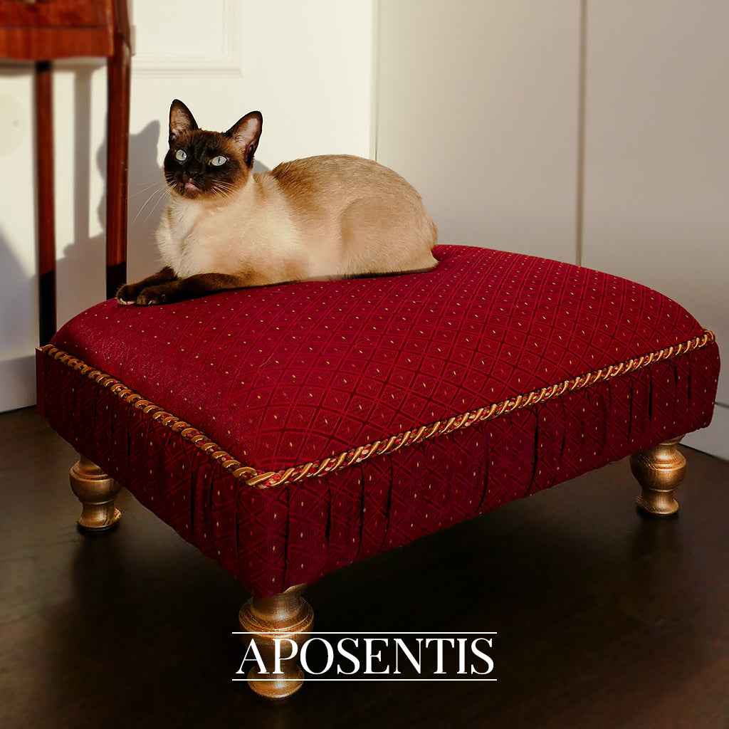Dionne Custom Damask Luxury Dog and Cat Bed