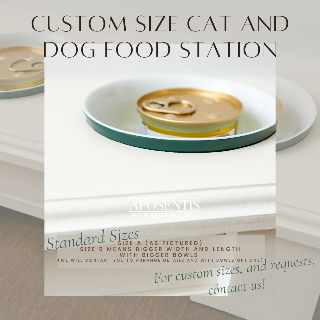 Kenny Wooden Elevated Dog and Cat Feeder