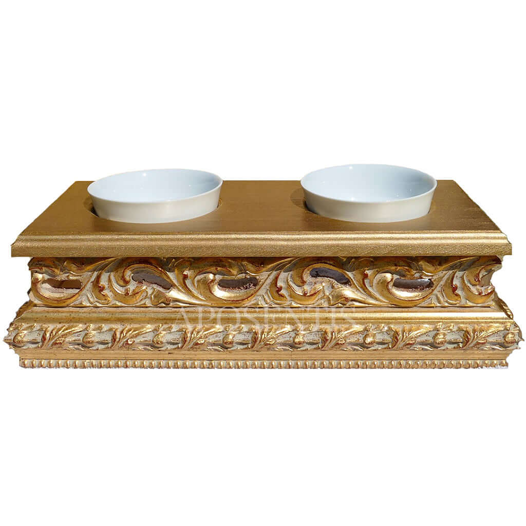 Luigi X Grumio Newfoundland