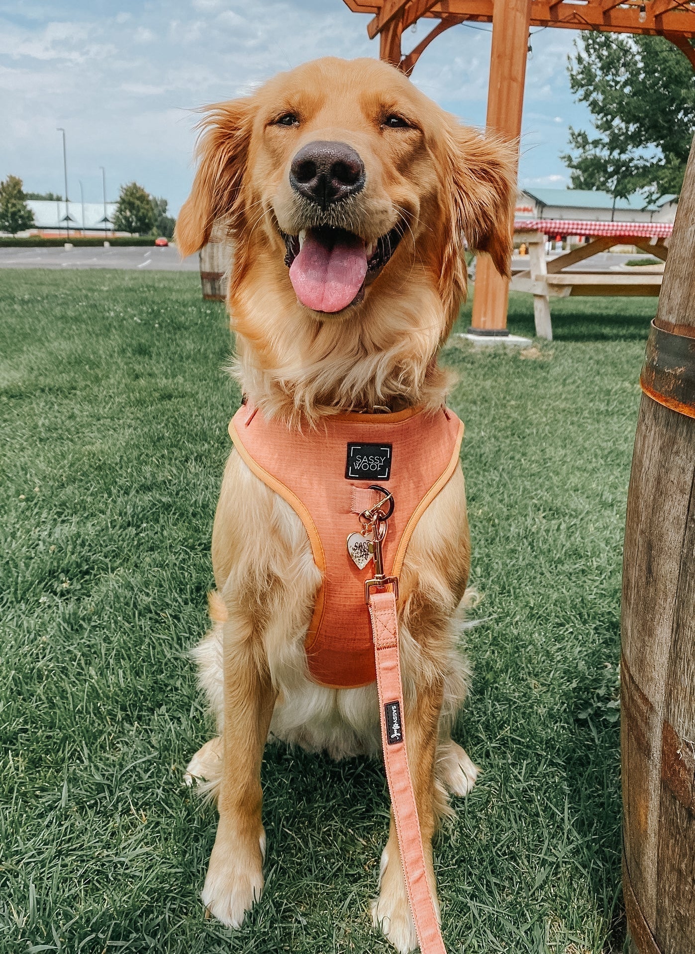 Dog Adjustable Harness - Apple Cider