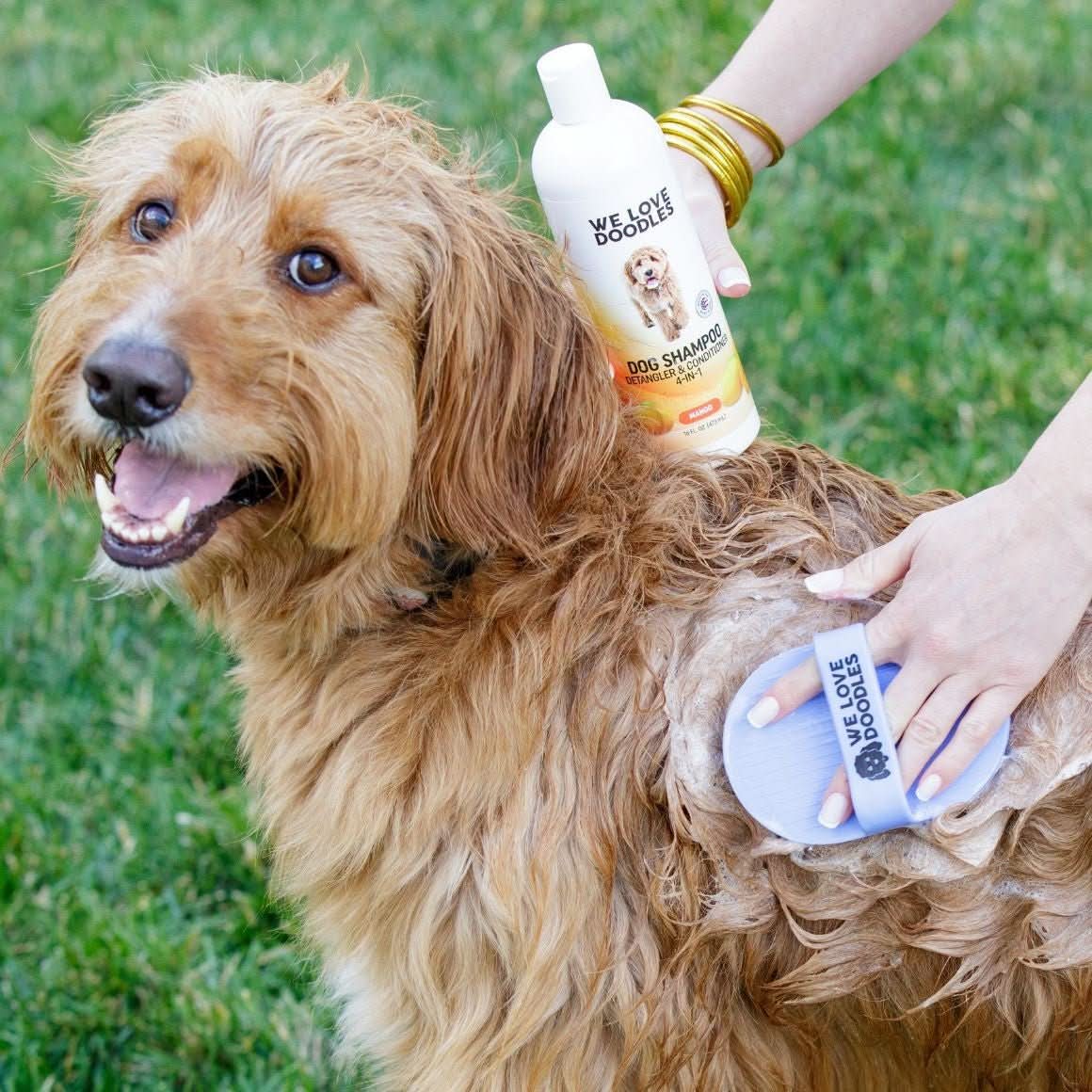 Dog Shampoo (Mango Scent)