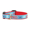 Up Country Aprs Ski Cast Brass Dog Collar
