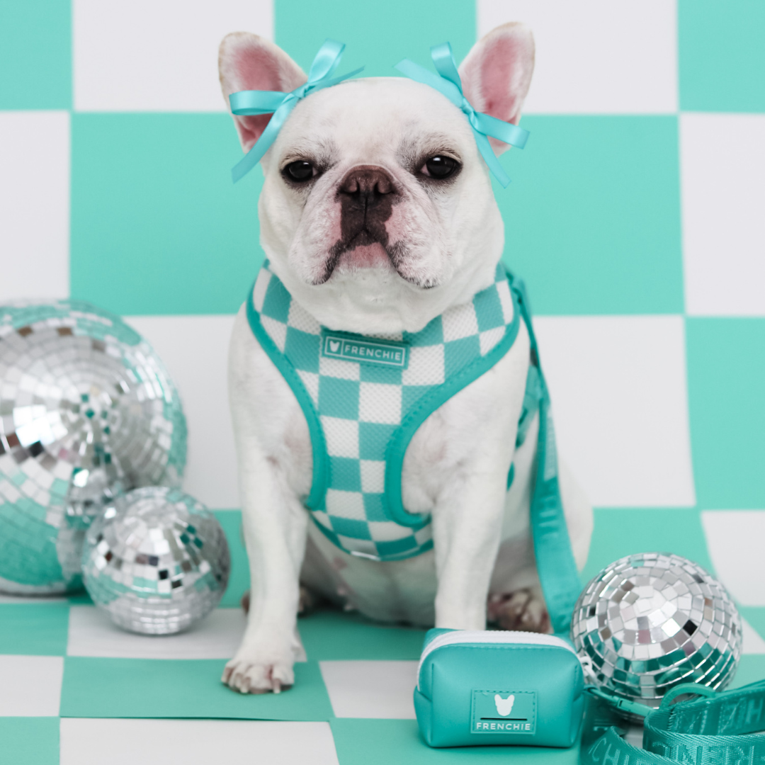 Frenchie Poo Bag Holder - Aqua