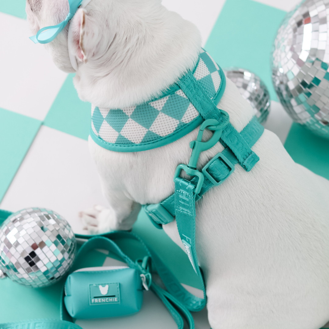 Frenchie Poo Bag Holder - Aqua
