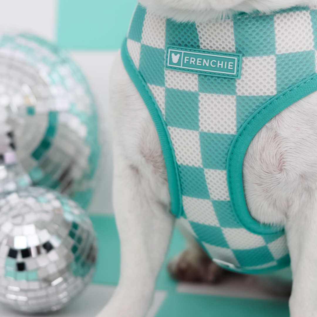 Frenchie Duo Reversible Harness - Aqua