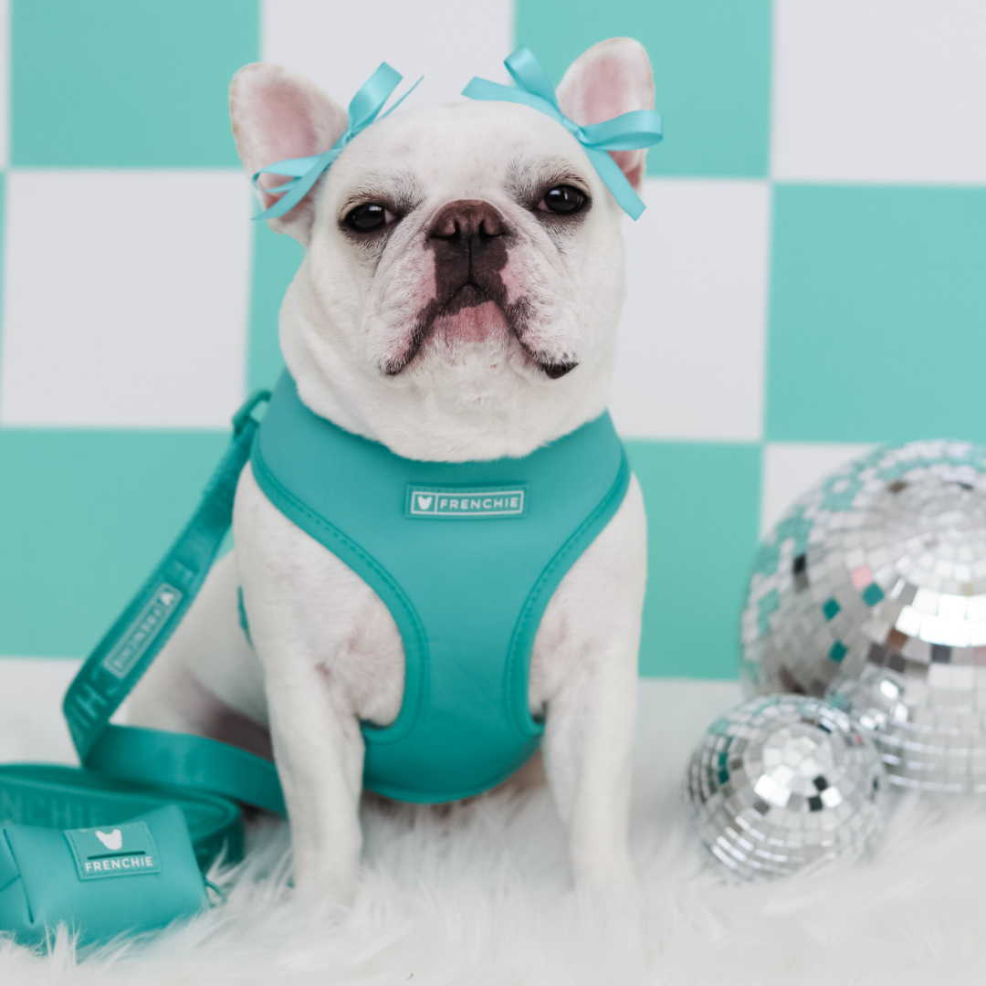 Frenchie Poo Bag Holder - Aqua