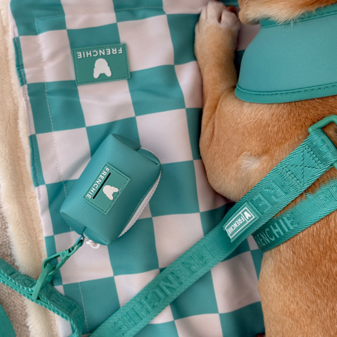 Frenchie Poo Bag Holder - Aqua