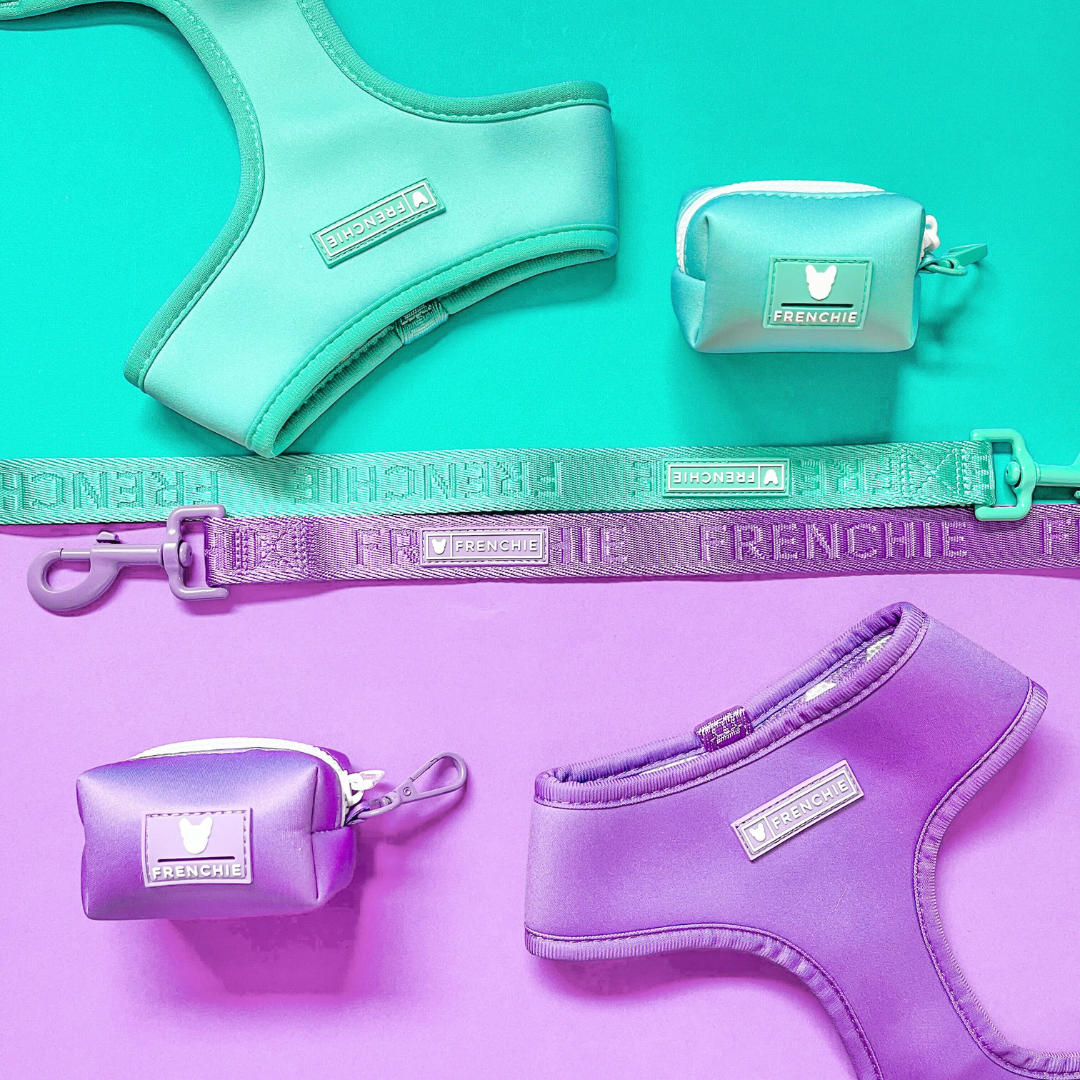 Frenchie Duo Reversible Harness - Aqua