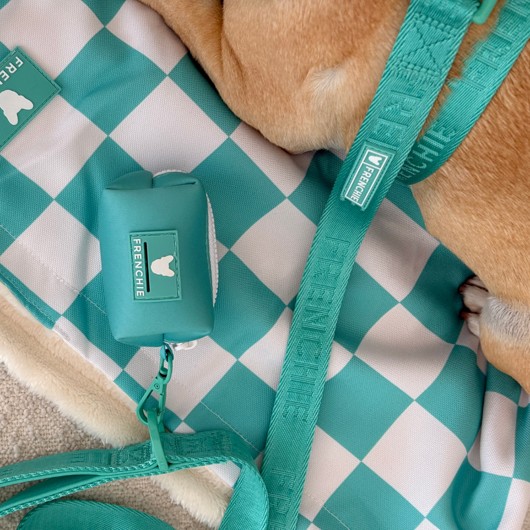 Frenchie Comfort Leash - Aqua