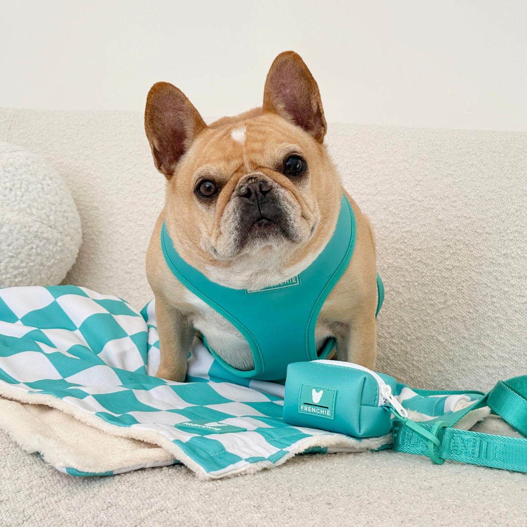 Frenchie Poo Bag Holder - Aqua