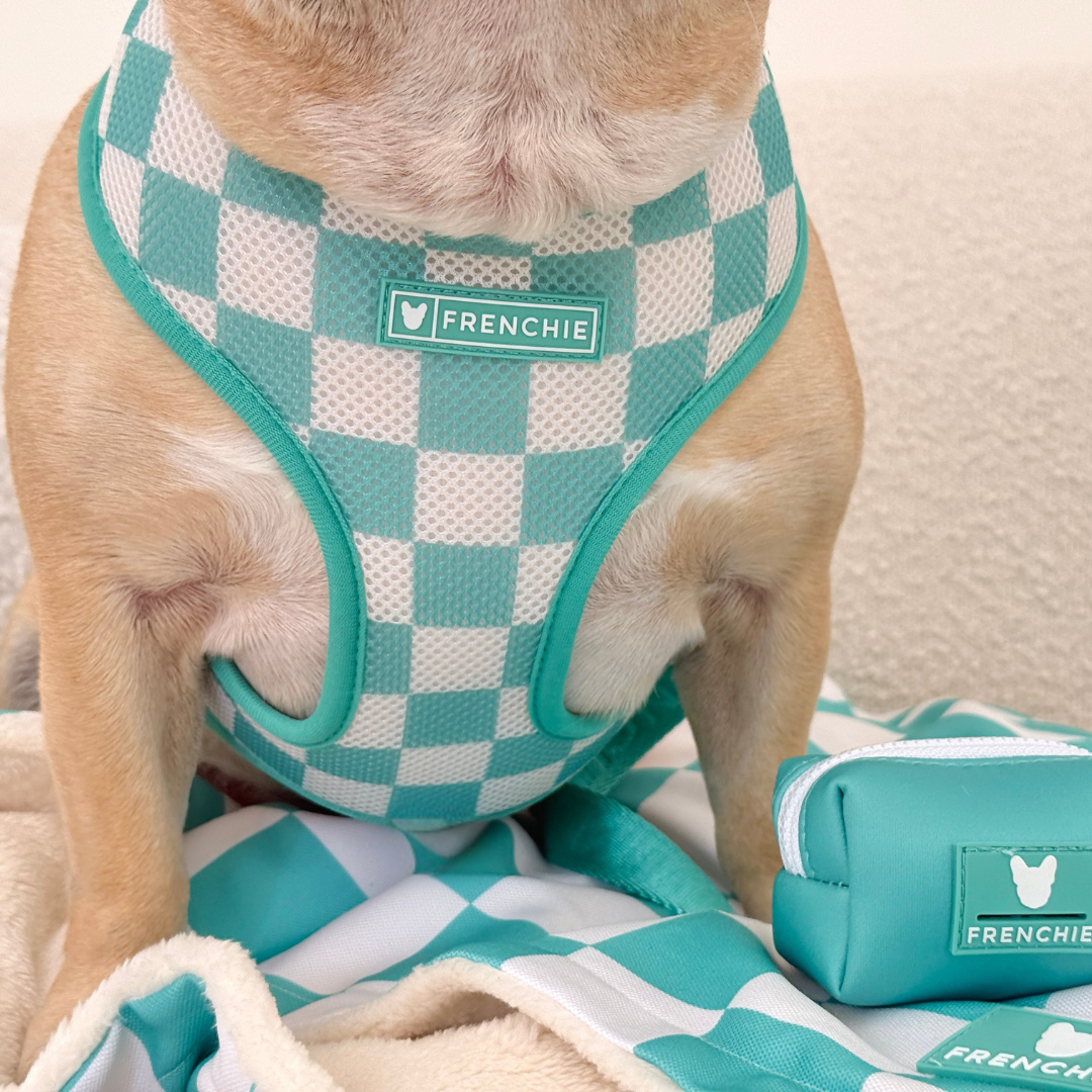 Frenchie Duo Reversible Harness - Aqua