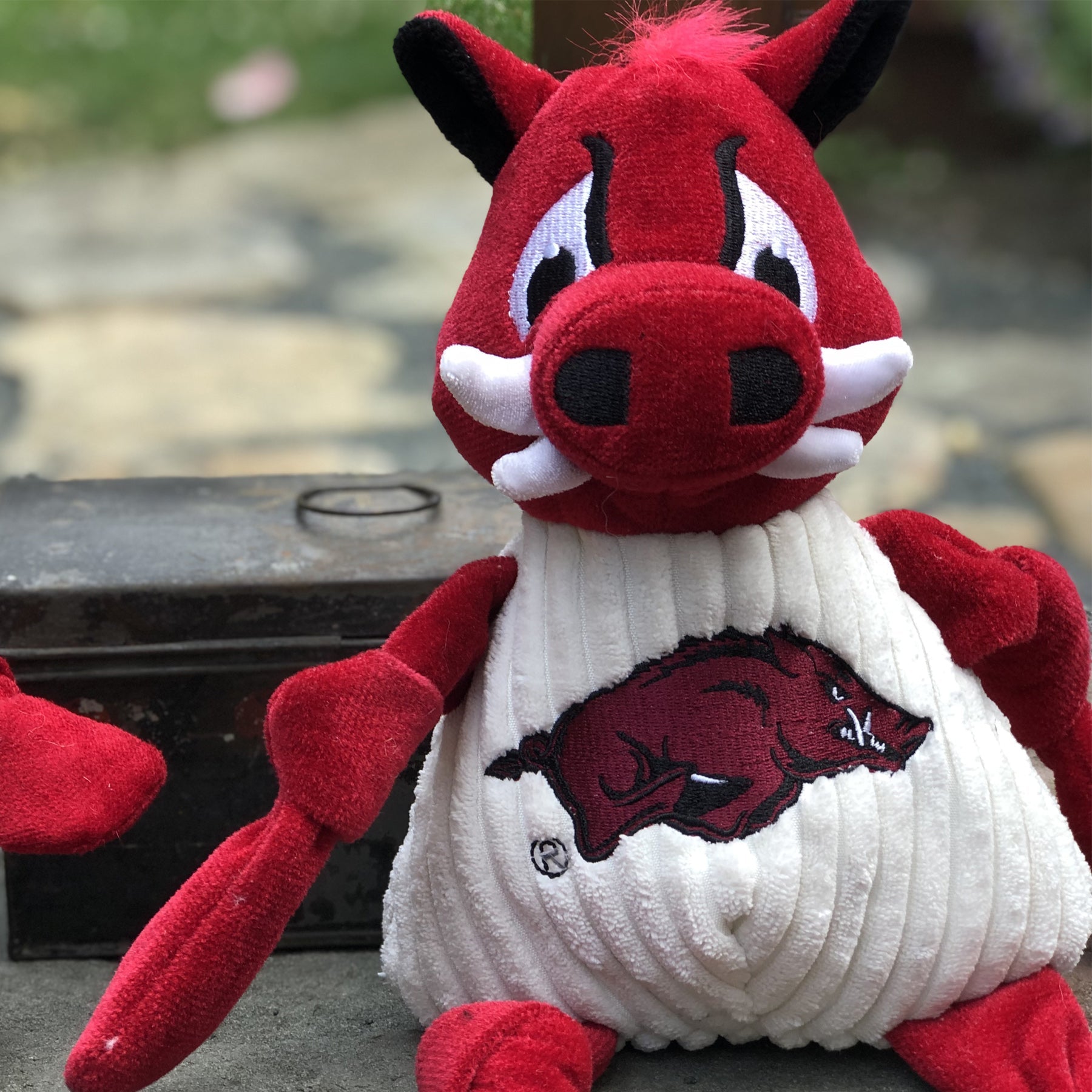 NCAA University of Arkansas, Tusk the Razorback Knottie Plush Dog Toy