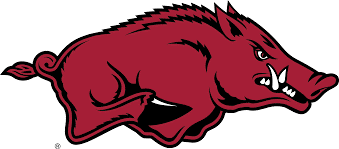 NCAA University of Arkansas, Tusk the Razorback Knottie Plush Dog Toy