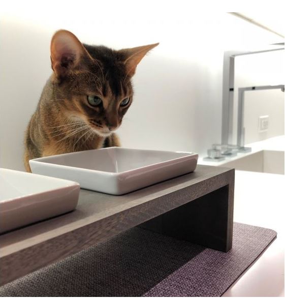 Artisan Double Wood Feeder Fossil