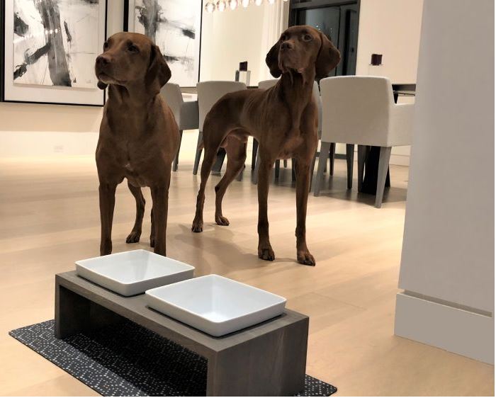 Artisan Double Wood Feeder Fossil