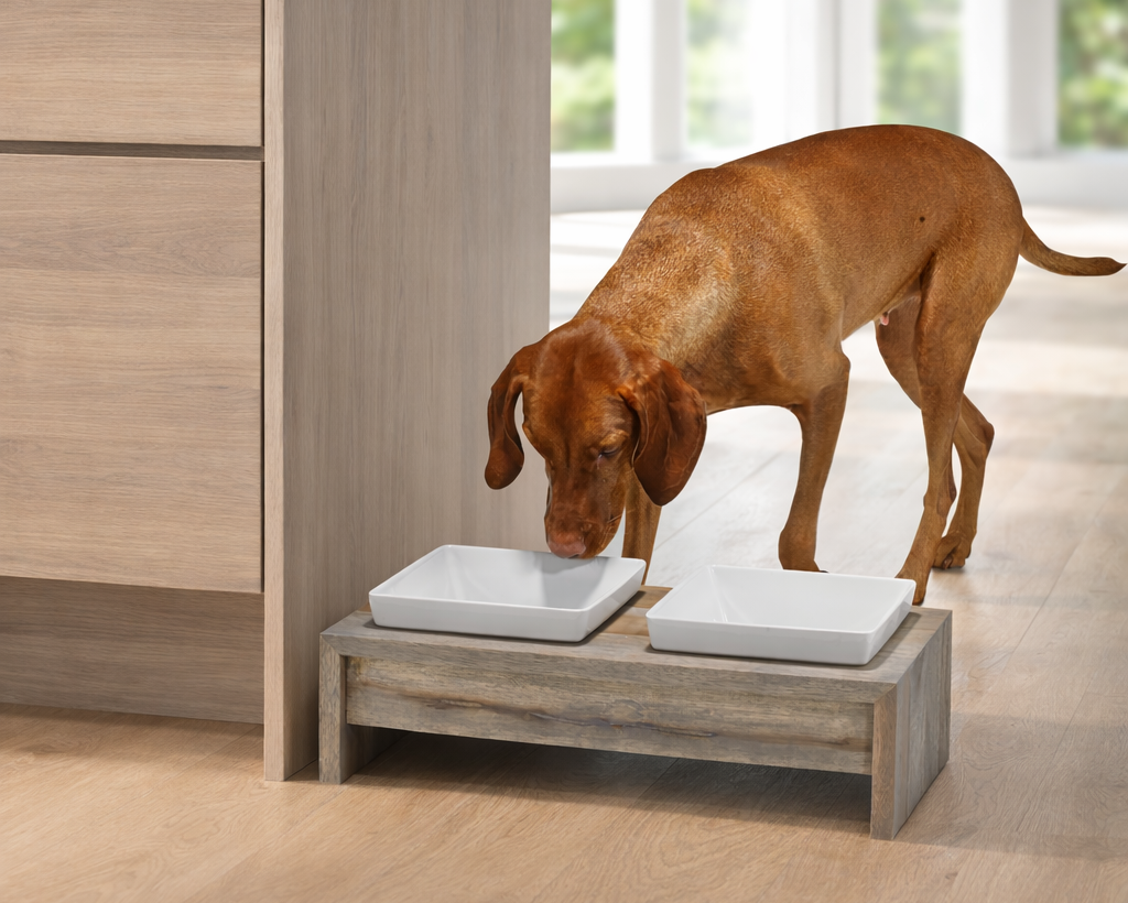 Bowsers Double Artisan Wood Dog Bowl Feeder - Elevated Designer Pet Dining