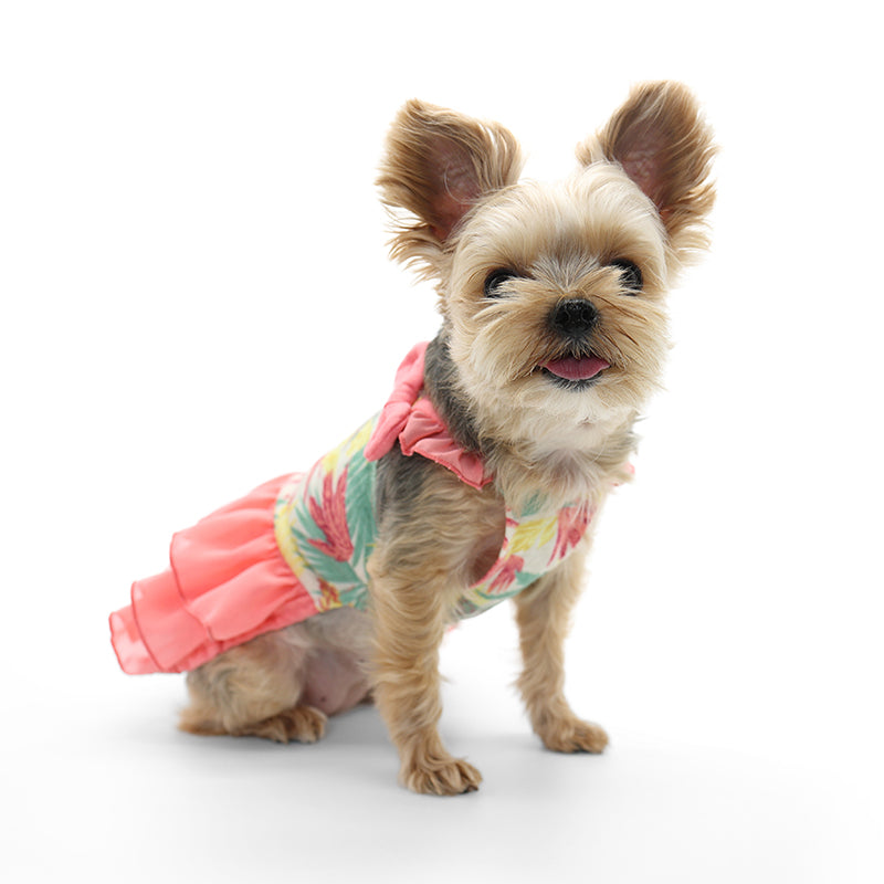 DOGO Autumn Leaves Dog Dress