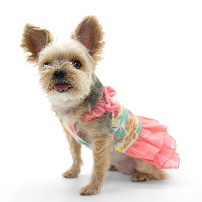 DOGO Autumn Leaves Dog Dress